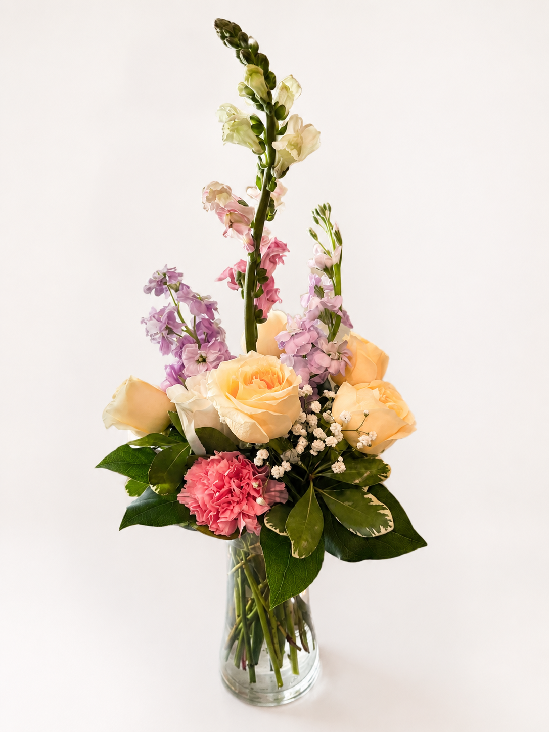 Blush Baby Blooms