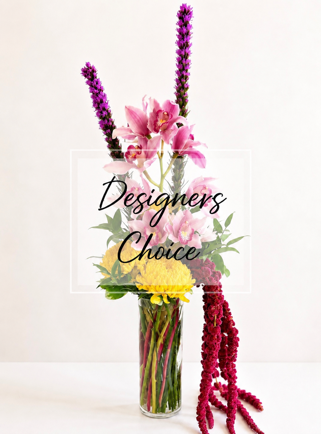 Designer’s Choice- Most Popular 🤩