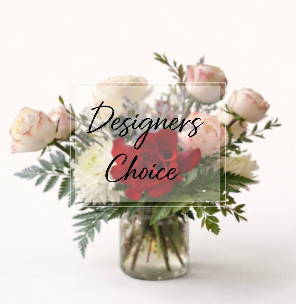 Designer’s Choice- Most Popular 🤩